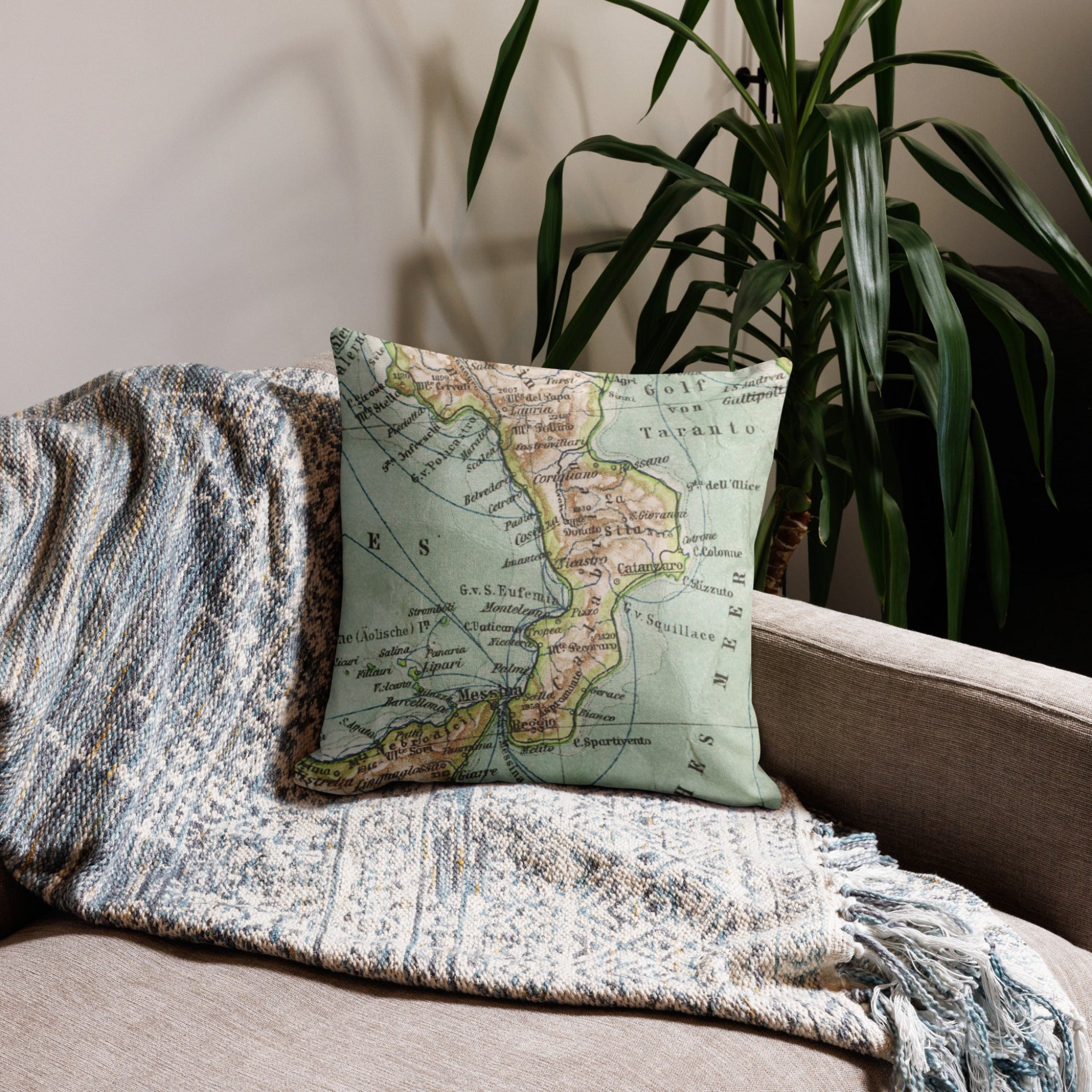 Map-themed pillow on a couch with a plant in the background