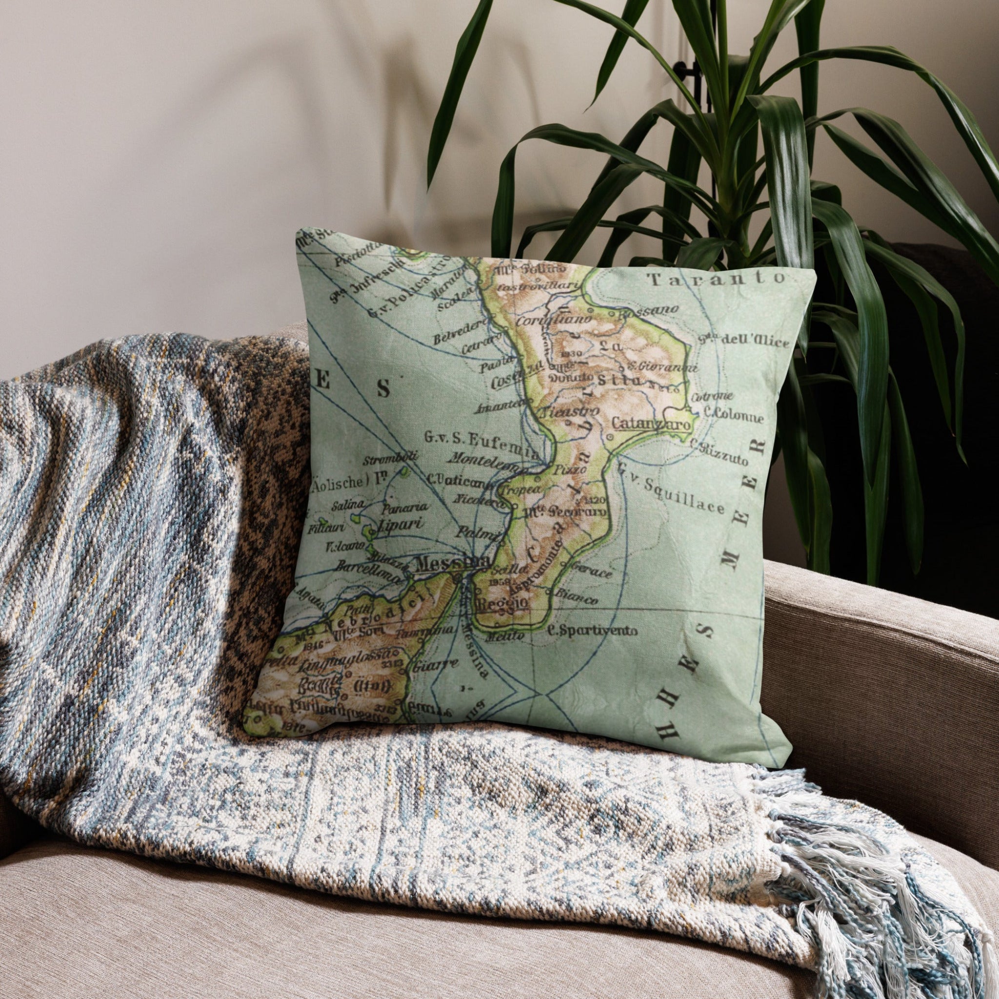 Map-themed pillow on a couch with a plant in the background
