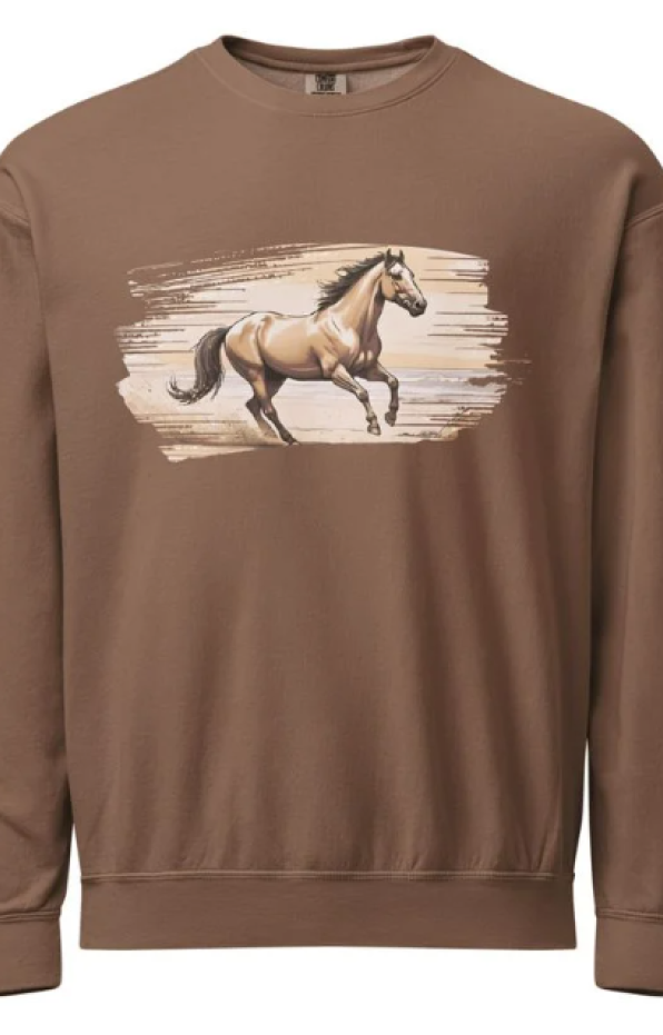 "Coastal Dance" - Pullover Sweatshirt